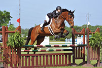 Equestrian Centers around Charlotte