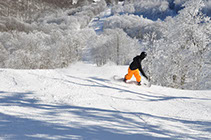 Sugar Mountain Snow Skiing